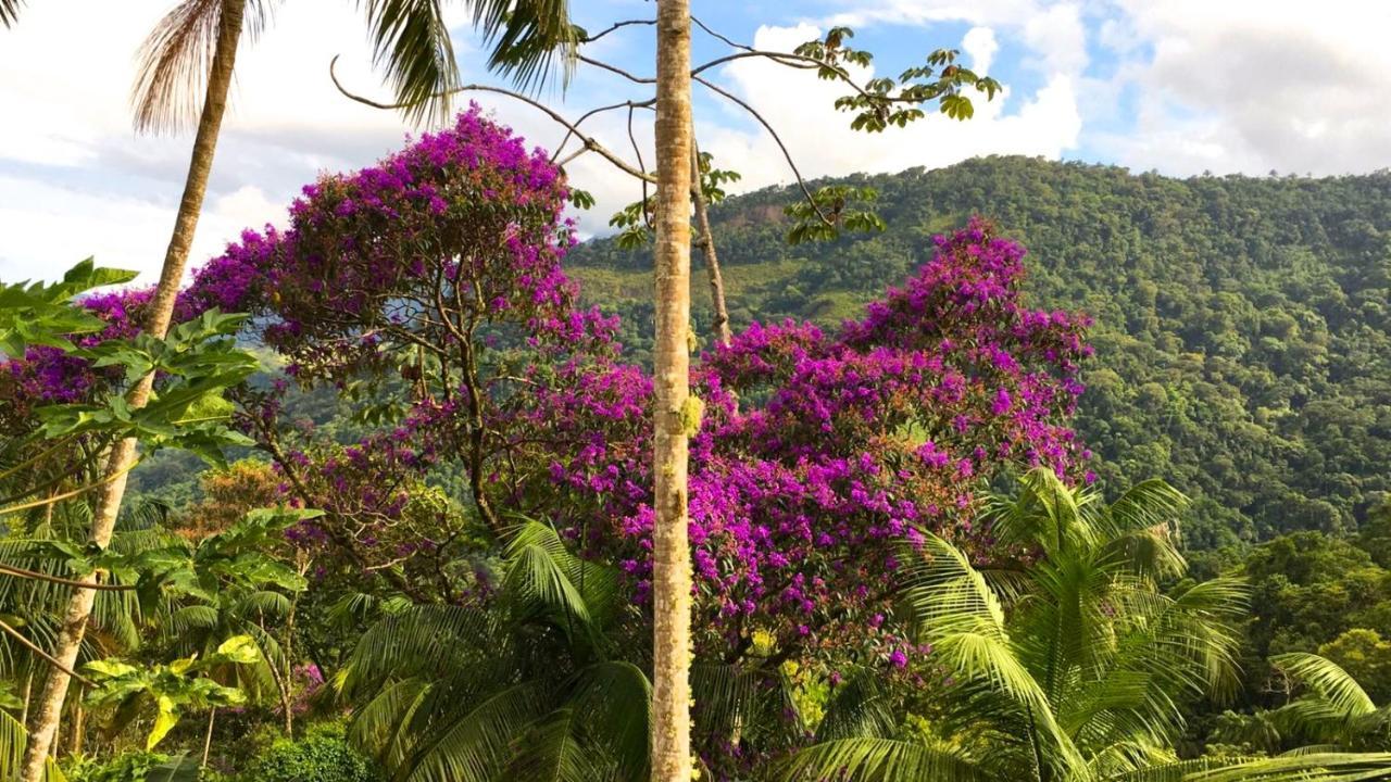 Casa Da Floresta Pico Da Aguia Araquari Buitenkant foto