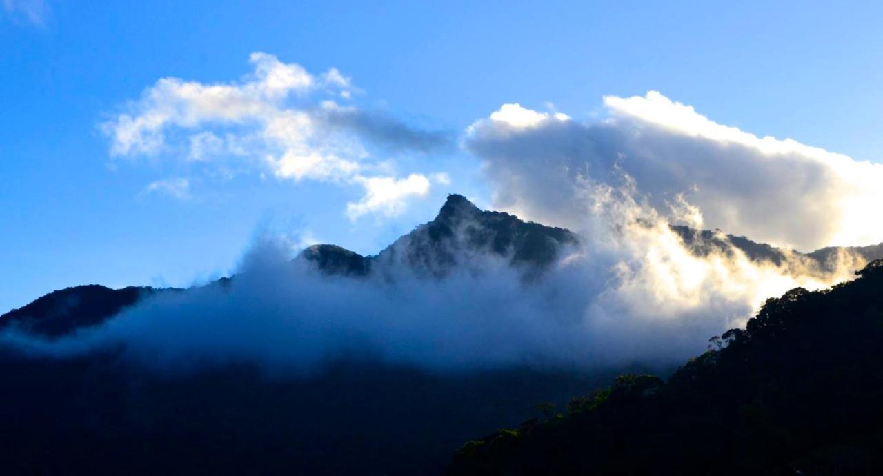 Casa Da Floresta Pico Da Aguia Araquari Buitenkant foto