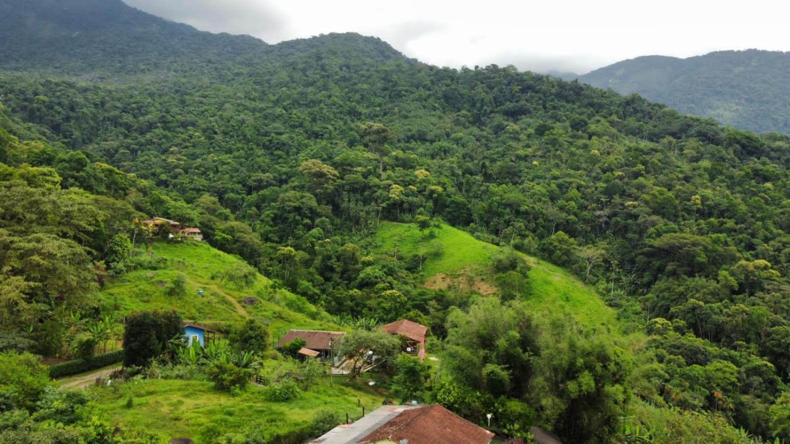 Casa Da Floresta Pico Da Aguia Araquari Buitenkant foto