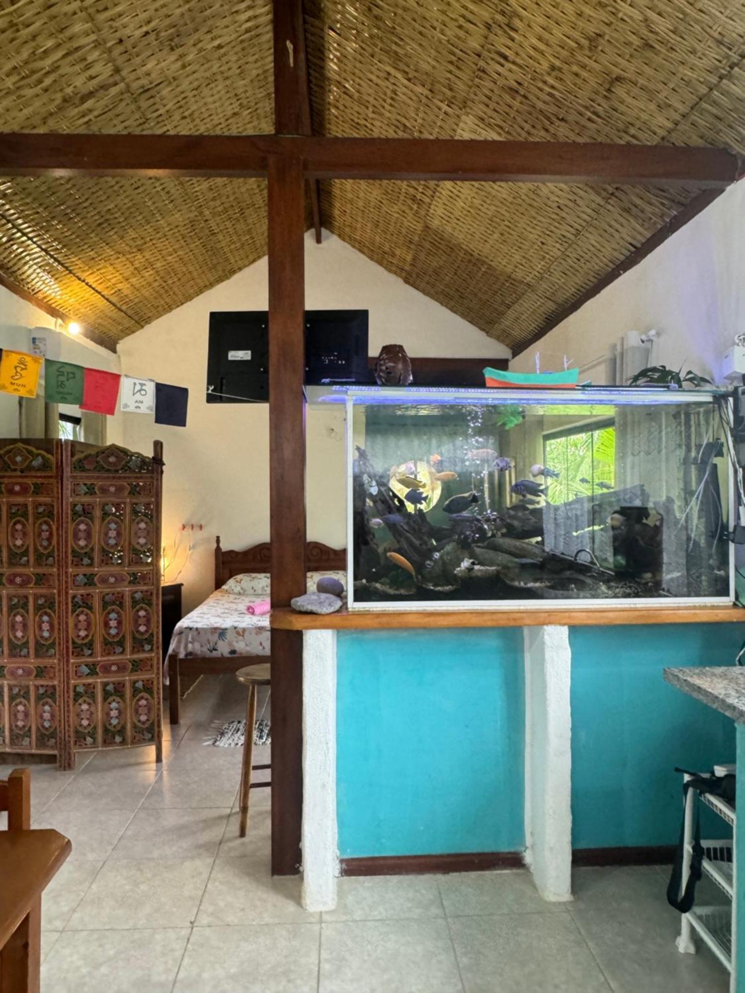Casa Da Floresta Pico Da Aguia Araquari Buitenkant foto