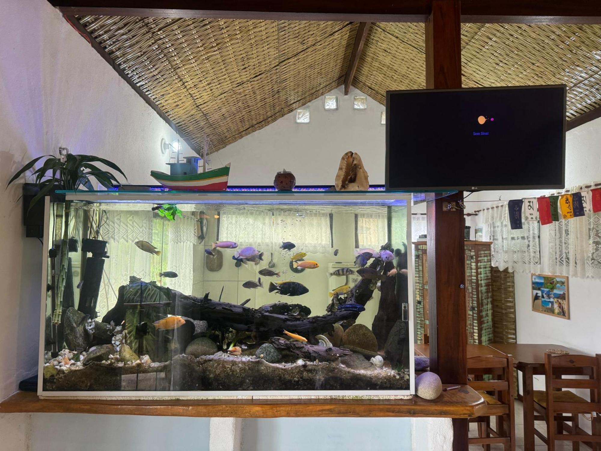 Casa Da Floresta Pico Da Aguia Araquari Buitenkant foto